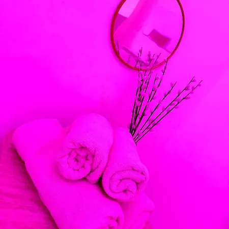 Dalikyda - L'incontournable - Loveroom With Le Havre